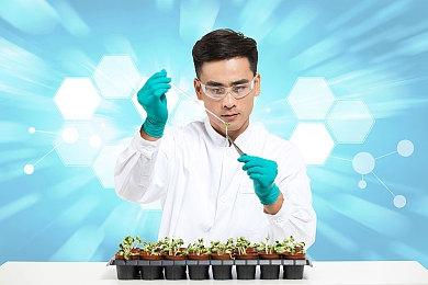 回合制城市建设游戏《梦幻小镇区域经理》上架Steam